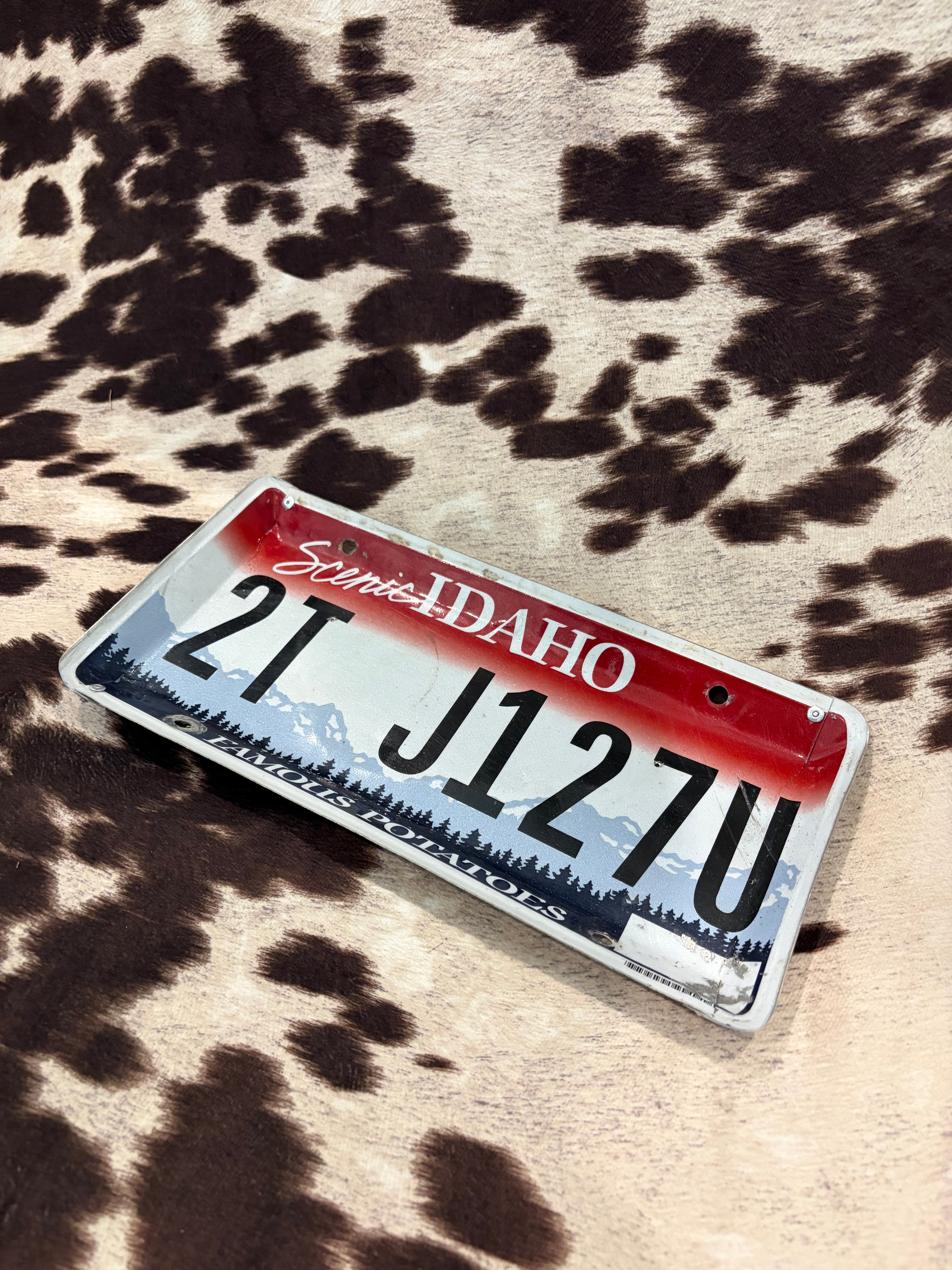 ID license plate tray