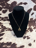 Gold horseshoe
