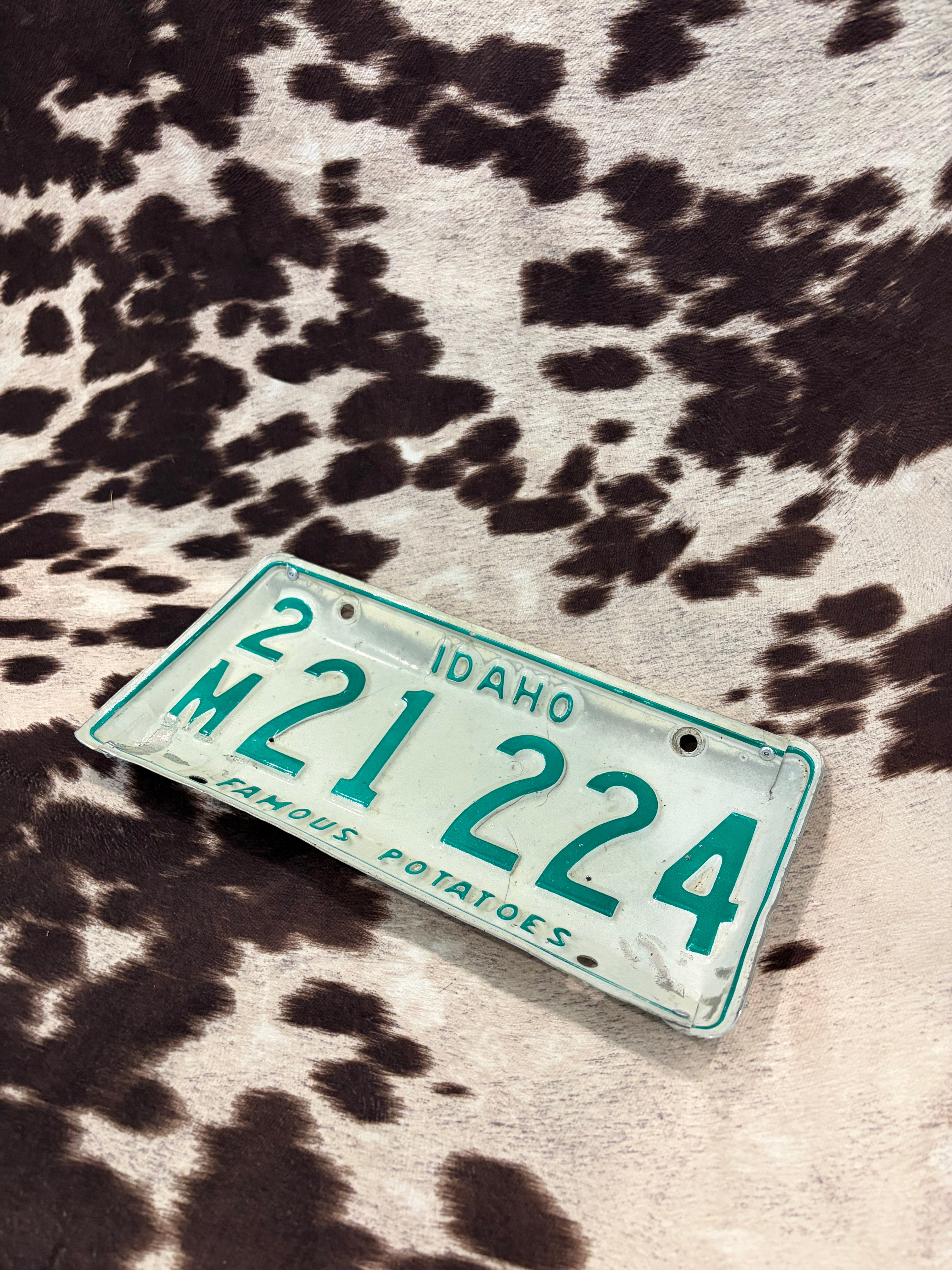 Green ID license plate tray